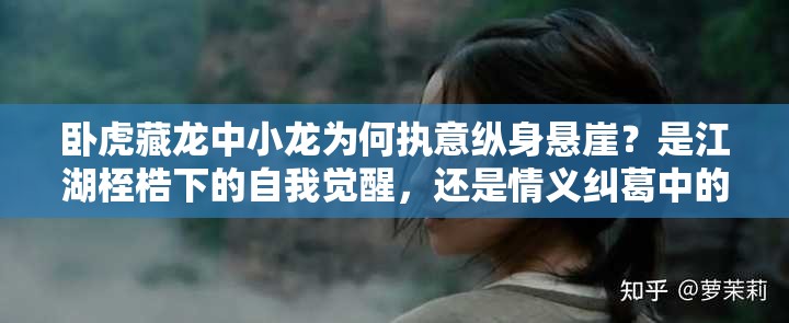 臥虎藏龍中小龍為何執(zhí)意縱身懸崖？是江湖桎梏下的自我覺醒，還是情義糾葛中的終極抉擇？