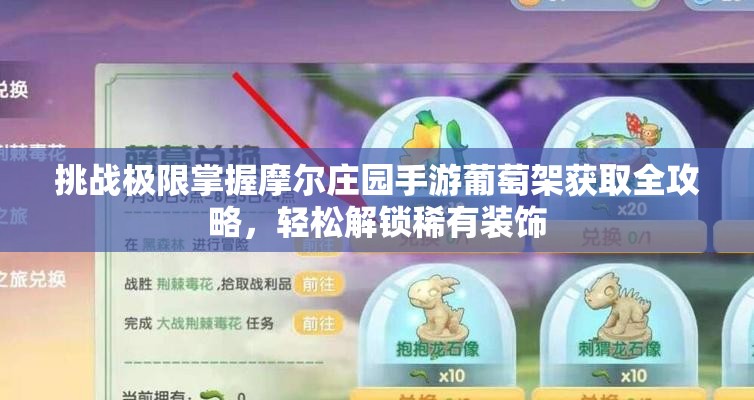 挑戰(zhàn)極限掌握摩爾莊園手游葡萄架獲取全攻略，輕松解鎖稀有裝飾