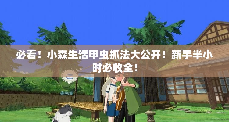 必看！小森生活甲蟲(chóng)抓法大公開(kāi)！新手半小時(shí)必收全！