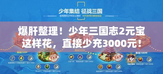 爆肝整理！少年三國志2元寶這樣花，直接少充3000元！