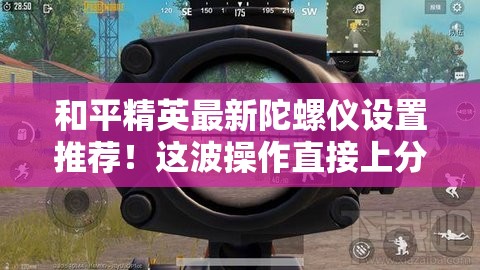 和平精英最新陀螺儀設(shè)置推薦！這波操作直接上分如喝水