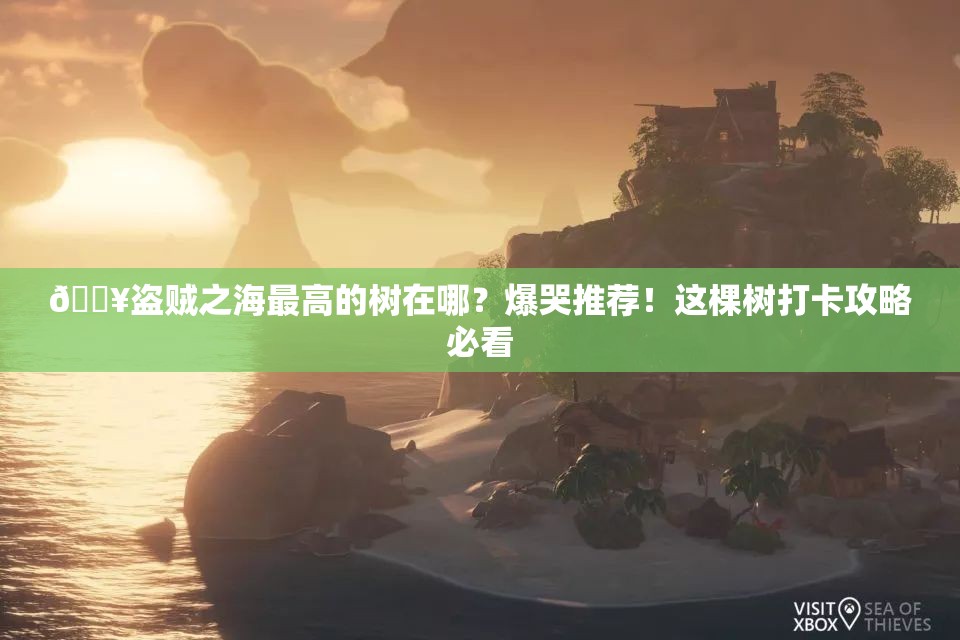 ??盜賊之海最高的樹在哪？爆哭推薦！這棵樹打卡攻略必看