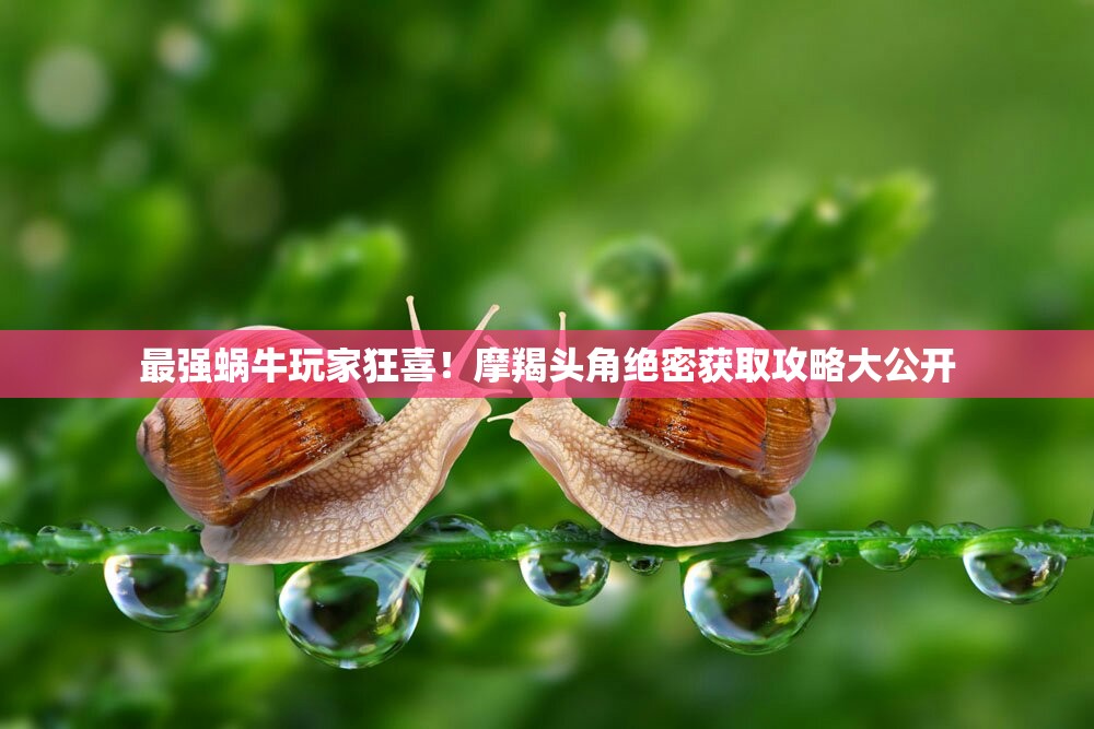 最強蝸牛玩家狂喜！摩羯頭角絕密獲取攻略大公開
